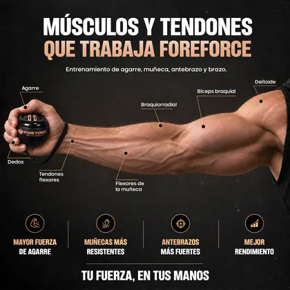 Mano y antebrazo · detalle